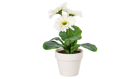 Gerbera-Kunstblumen Weiß 6er Set
