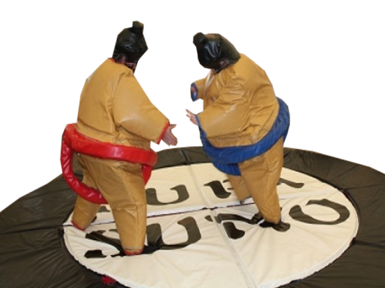 Sumo Ringen