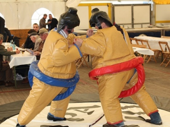 Sumo Ringen