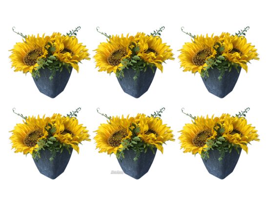 Sonnenblumen 6er Set 