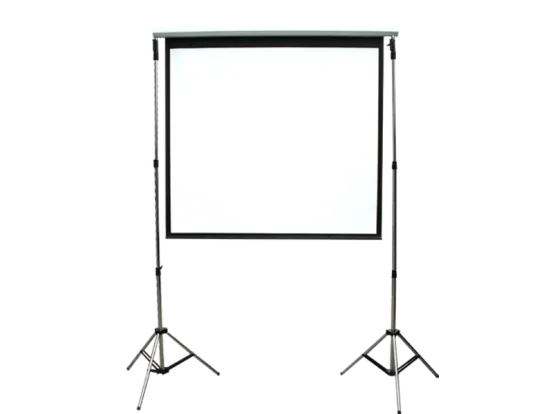 Elektr. Leinwand 2 m