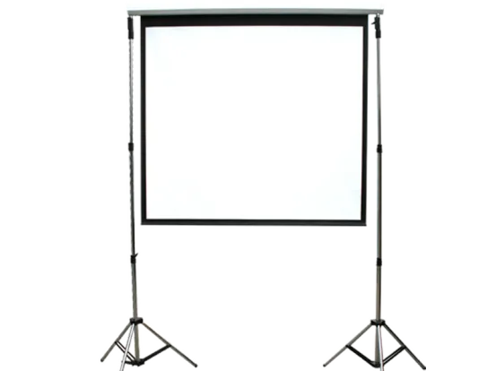 Elektr. Leinwand 3,50 m