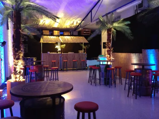 Palmen gro&szlig; mit Beleuchtung