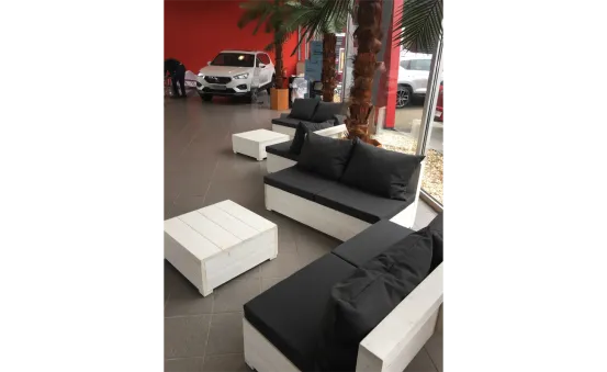 Palmen gro&szlig; mit Beleuchtung