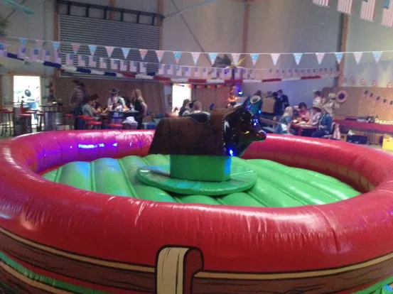 Bullriding  L&ouml;schen 