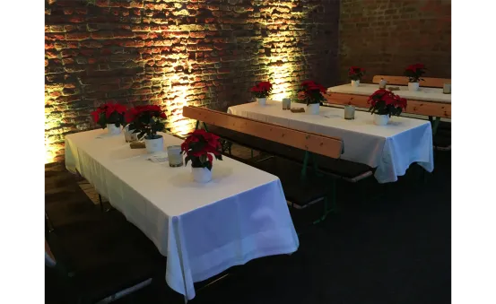 AT10 Mini LED Indoor