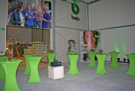 Stehtischset gr&uuml;n