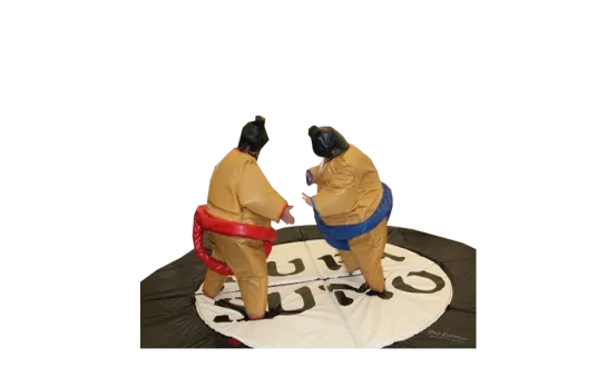 Sumo Ringen