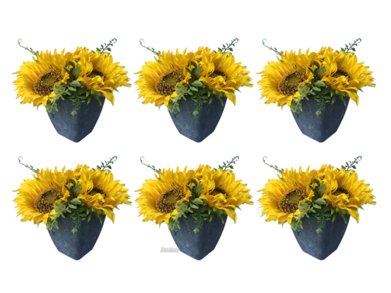 Sonnenblumen 6er Set 