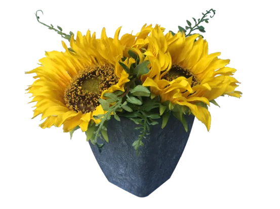 Sonnenblumen 6er Set 