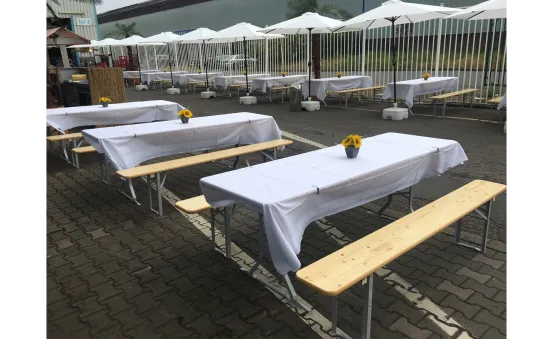 Sonnenblumen 6er Set 