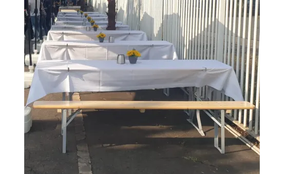 Sonnenblumen 6er Set 