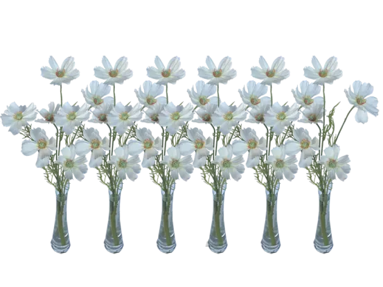 Schmuckk&ouml;rbchen wei&szlig; 6er Set 