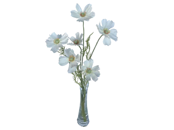 Schmuckk&ouml;rbchen wei&szlig; 6er Set 