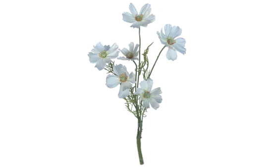 Schmuckk&ouml;rbchen wei&szlig; 6er Set 