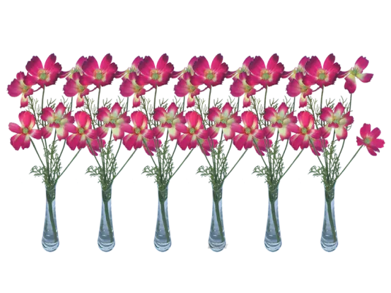 Schmuckk&ouml;rbchen pink 6er Set