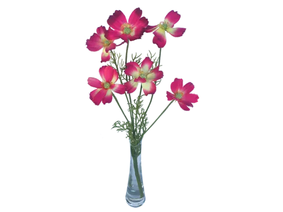 Schmuckk&ouml;rbchen pink 6er Set