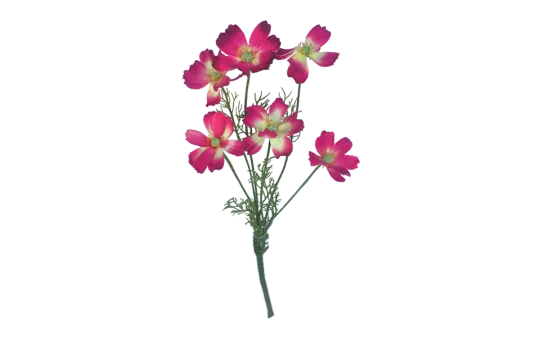 Schmuckk&ouml;rbchen pink 6er Set