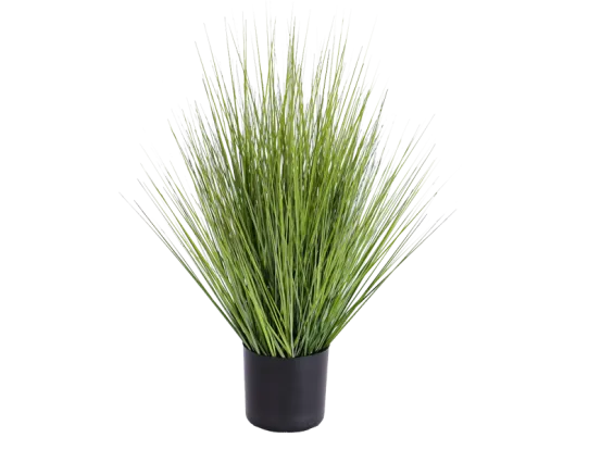 Grasbusch &Oslash; 45 cm