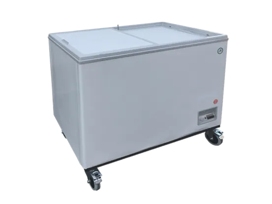 K&uuml;hl-/ Gefriertruhe Standard 