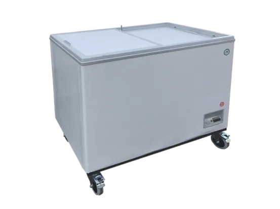 K&uuml;hl-/ Gefriertruhe Standard 