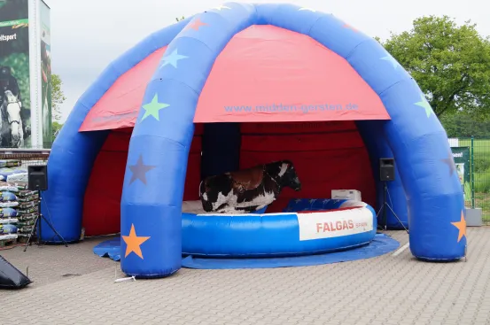 Dome - &Uuml;berdachung