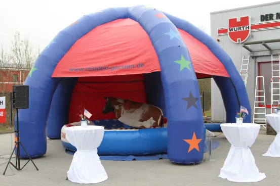 Dome - &Uuml;berdachung