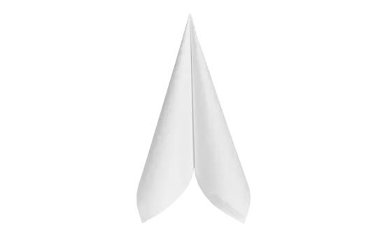 Evolin-Serviette 40 x 40cm