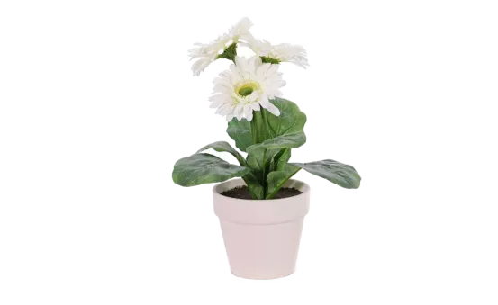 Gerbera-Kunstblumen Wei&szlig; 6er Set  