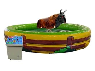 Bullriding  L&ouml;schen 