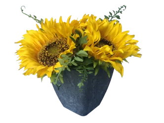 Blumenvase Porzellan 6er Set