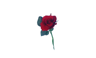 Blumenvase Porzellan 6er Set