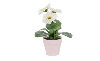 Gerbera-Kunstblumen Weiß 6er Set