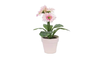 Gerbera-Kunstblumen Pink 6er Set